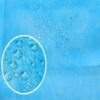 Disposable Bed Sheet by tayatalnajoommedical (1)